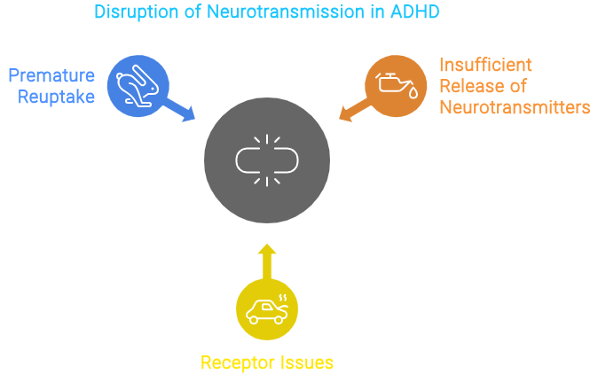 adhd and neurotransmitters